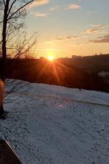 Foto pengguna syntech