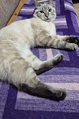 Zdjęcie użytkownika CzarownicaIzabela