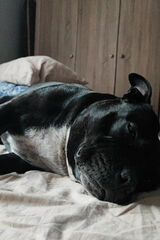 Photos xmartinxtonyx