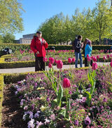 Foto utilizatorului stefanadamczyk1