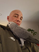 Benutzerfoto DanielL83