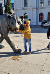 Foto utilizatorului AdrianHamernik