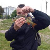 Zdjęcie użytkownika DDLKamcio