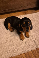 Benutzerfoto kacperro1996