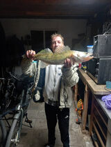 Benutzerfoto GabrysWe