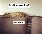 Zdjęcie użytkownika PaulLublin