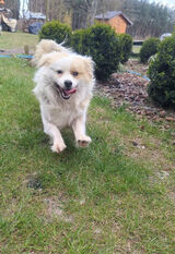 Fotka uživatele Gawril