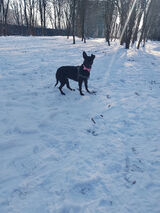 Zdjęcie użytkownika Patrol31