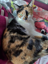 Фото користувача Jagodzianka32