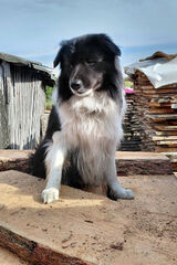 Benutzerfotokarolomen123