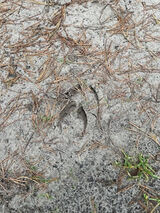 Фотография пользователя Mily3434