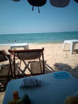 Фотография пользователя XDX1979