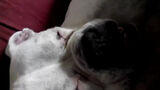 Fotos tomfij54