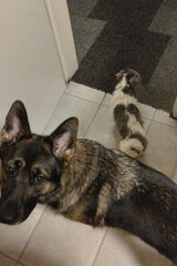 Benutzerfoto HefnerD