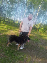 Zdjęcie użytkownika Fabiianekk