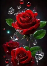 Фотография пользователя Anka001