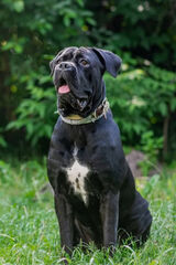 Фотография пользователя adamhajduk72