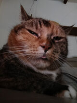 Фотография пользователяWiciuW