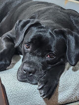 Benutzerfoto bialyr2601983