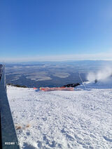 Foto utilizatorului michalmalu