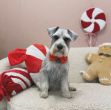 Zdjęcie użytkownika Tomas36