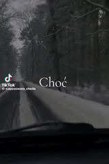 Benutzerfoto pserek63