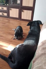 Foto utilizatorului ciepielakrzysztof6