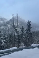 Benutzerfoto GucciMen23