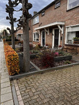 Zdjęcie użytkownika grucap154