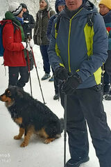 Fotka uživatele SzeligaKonrad
