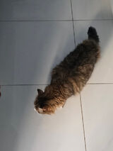 Fotos marcinek213213