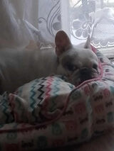 Foto utilizatorului PiotrMarchewka1981