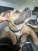 Zdjęcie użytkownika p8wtcp86yh