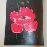 Zdjęcie użytkownika Dana12345