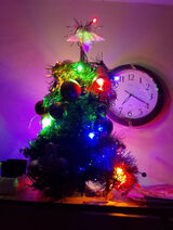 Photos MariuszZajac3