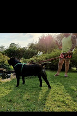 Zdjęcie użytkownika Nico9