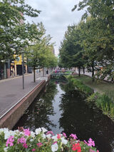 Фотография пользователя jacekgradzki55