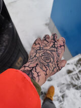 Zdjęcie użytkownika GallAnonim90