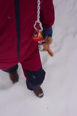 Foto utilizatorului KajtekWitkowski