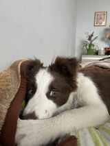 Foto pengguna Magdalenanela