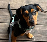 Photos Arkadiuszpawel