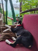 Zdjęcie użytkownika patmatuszewski