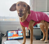 Zdjęcie użytkownika banya75