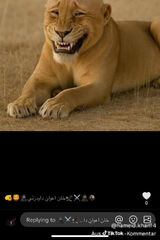 Zdjęcie użytkownika u4147145273