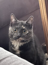 Foto utilizatorului jglz