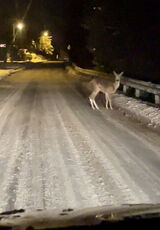 Zdjęcie użytkownika Derek90