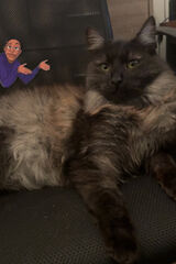 Fotka uživateleAdrian13999