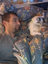 Foto pengguna daro1d2