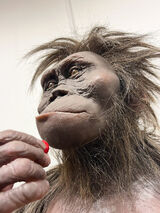 BenutzerfotoMusztardeusz