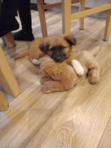 Фотография пользователя stanislawbarszcz38